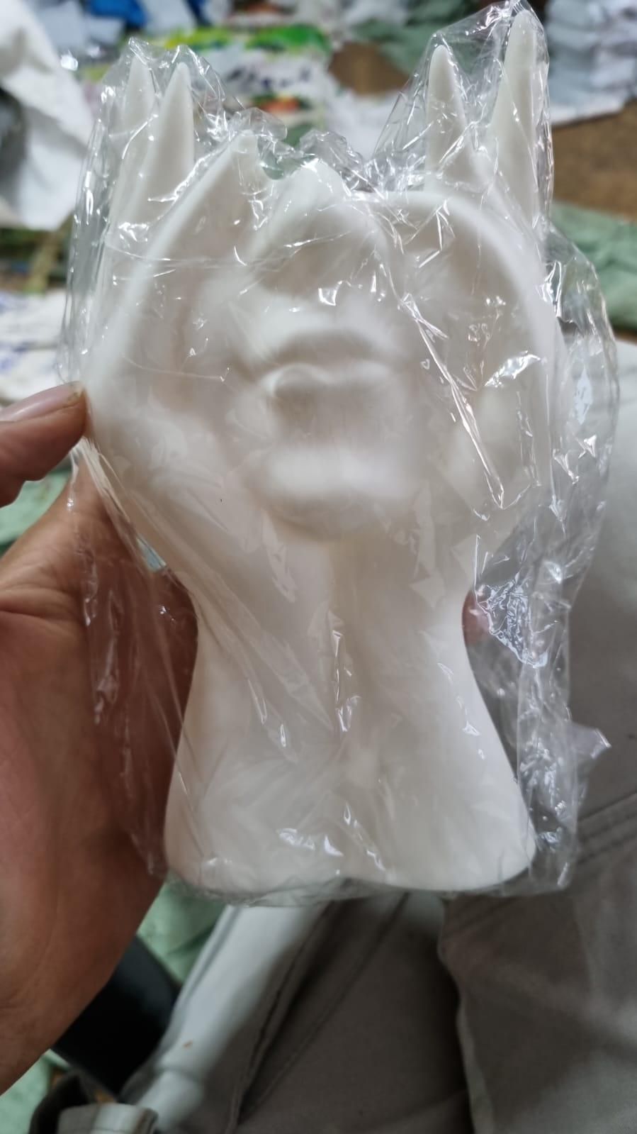Aesthetic Face Vase